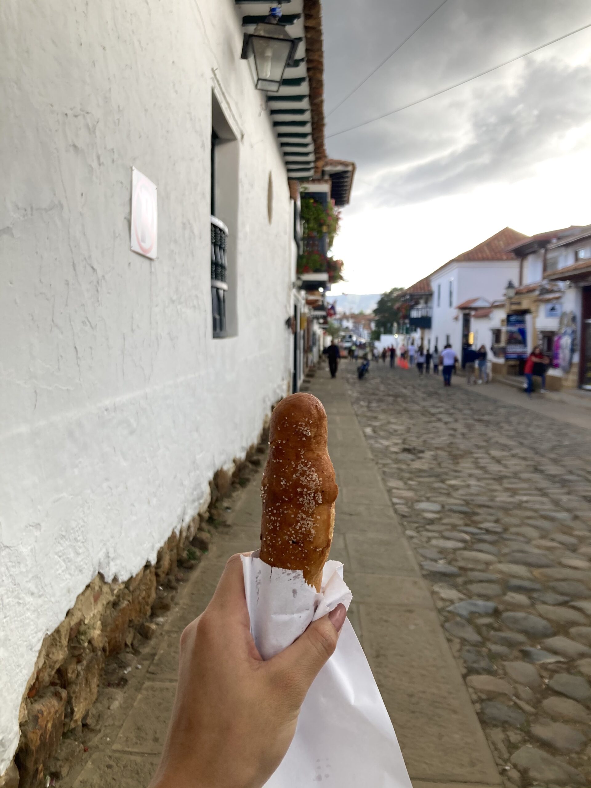 Day trip to Villa de Leyva